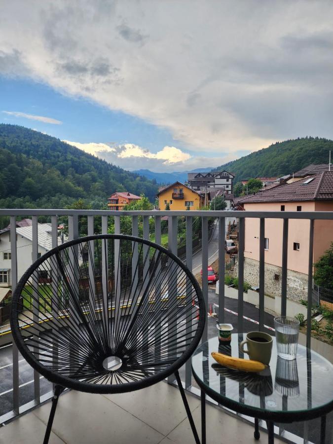 Cozy Studio 4 People With Parking Sinaia Bagian luar foto