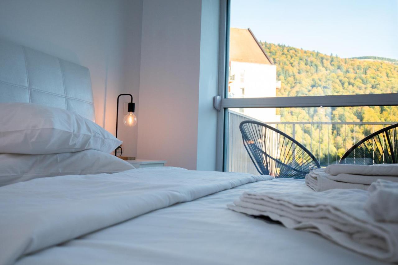 Cozy Studio 4 People With Parking Sinaia Bagian luar foto