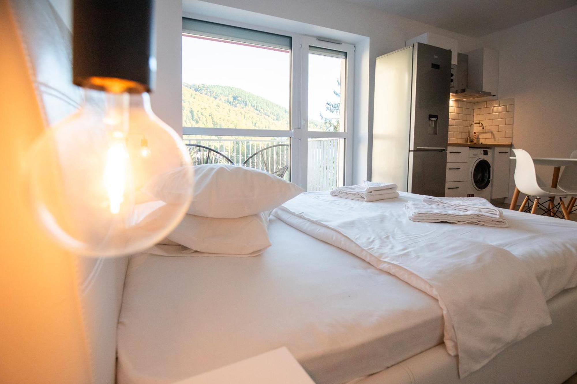 Cozy Studio 4 People With Parking Sinaia Bagian luar foto